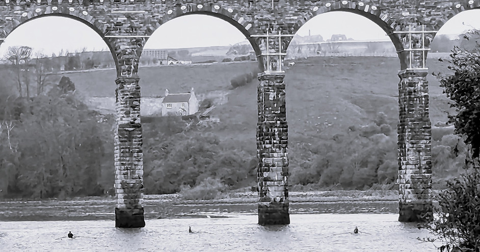 Berwick Amateur Rowing Club