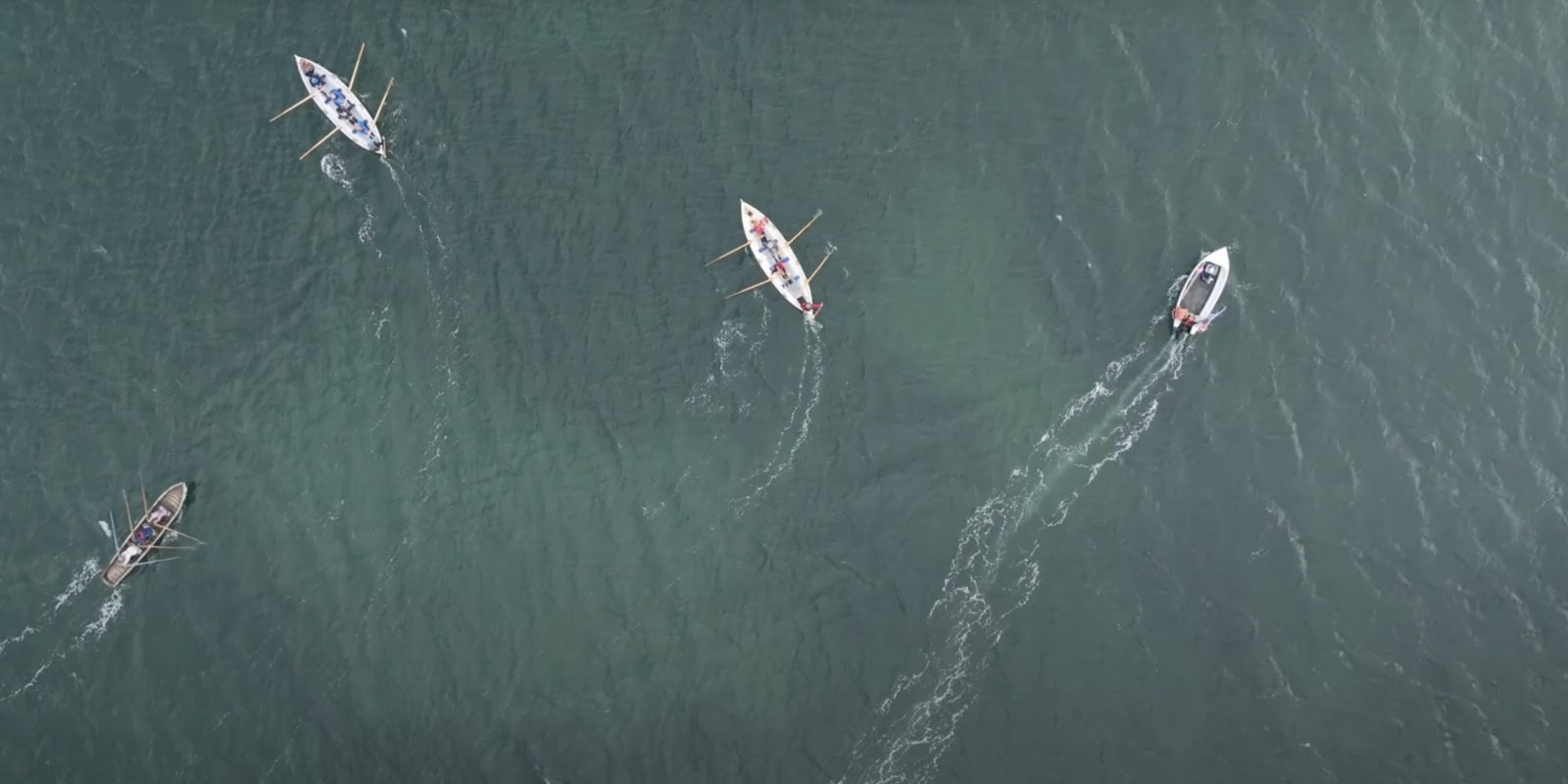 Loop Head Rowing Club