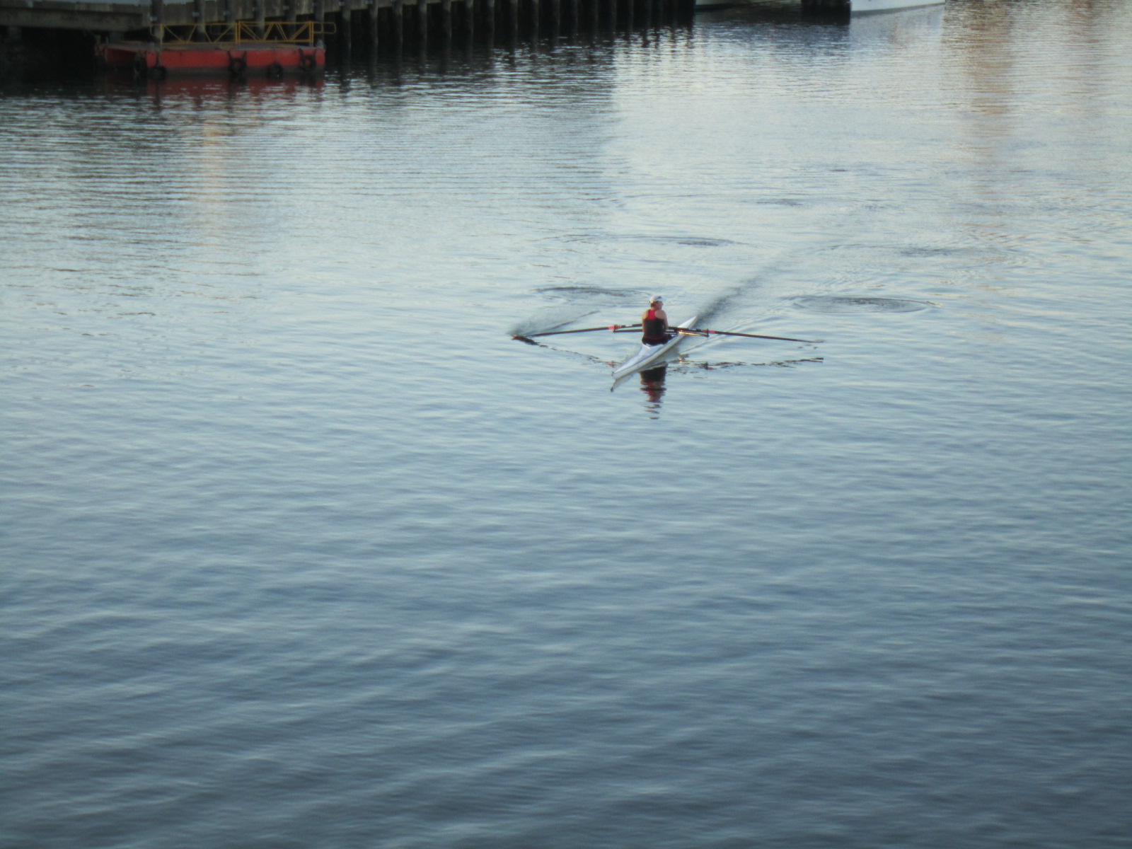 Newcastle Rowing Club