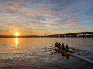 Pocock Rowing Club logo