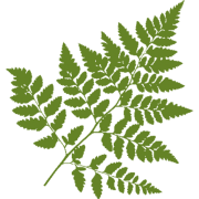 Trentham Boat Club logo